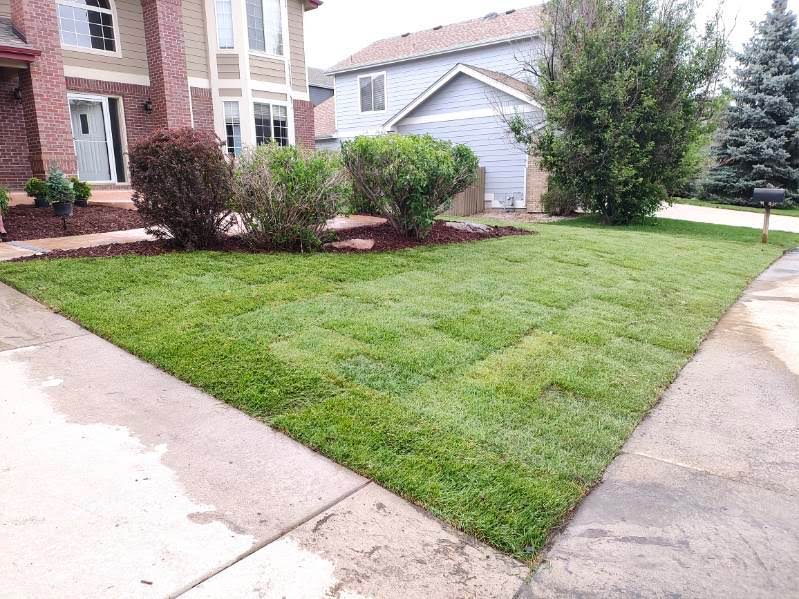 BAM Sprinklers landscaping project Denver 7